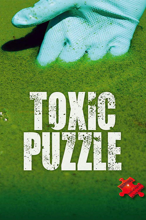 Toxic Puzzle (2017) poster