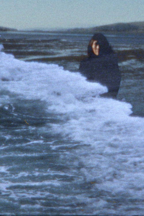 Blue Distance (2021) poster