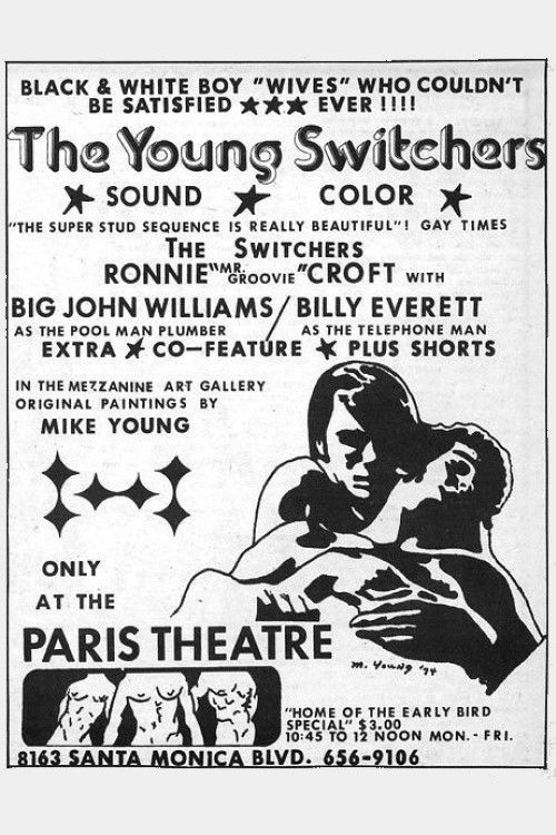 The Young Switchers (1973) poster