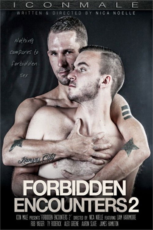 Forbidden Encounters 2 (2014) poster