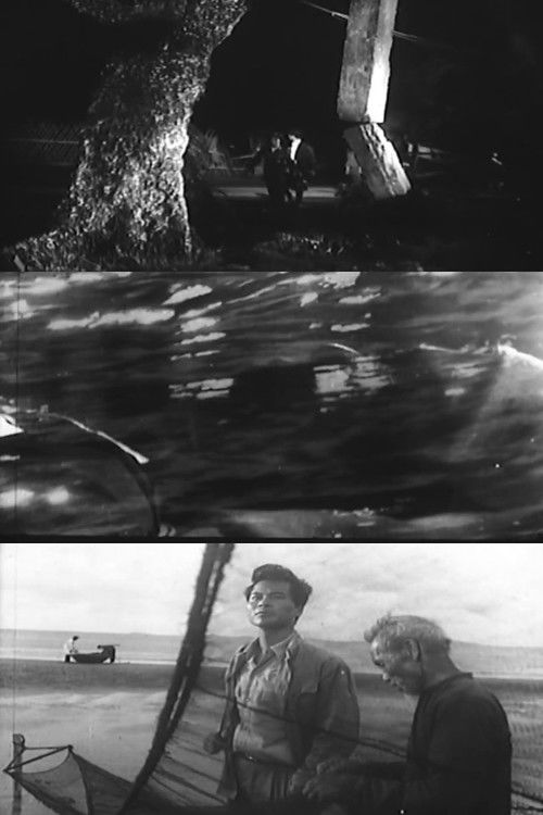 Stars on the Sea (1973) poster