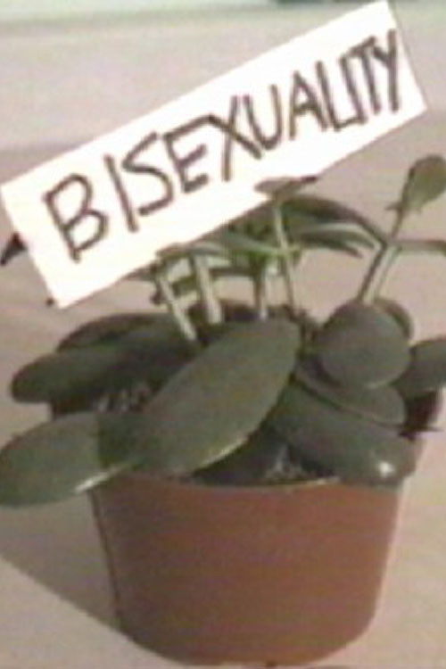 Bisexual Wannabe (1997) poster