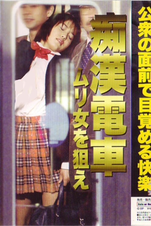 Groper Train: Target the Impossible Woman (1999) poster