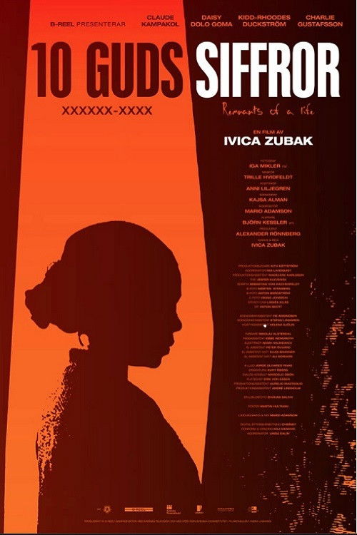 Remnants of a Life (2013) poster