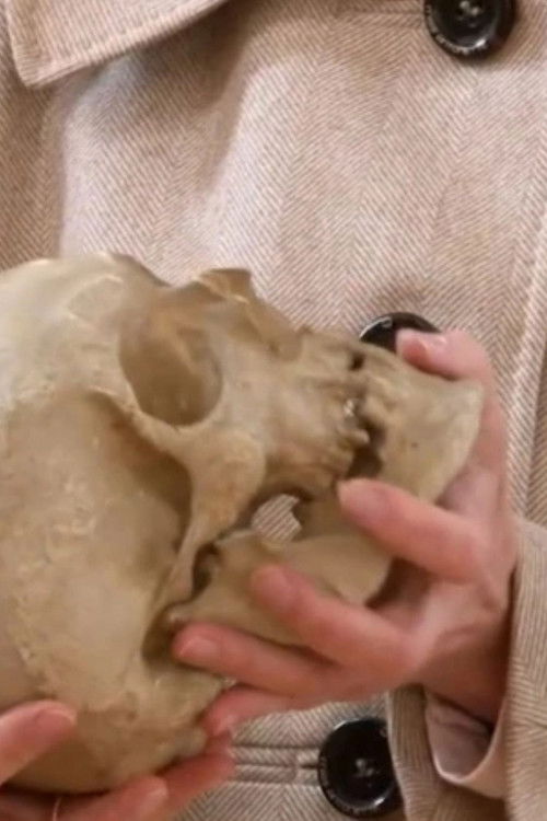 Leibnitz' Skull (2012) poster