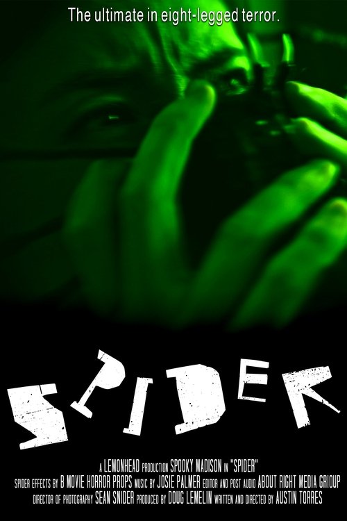 Spider (2024) poster