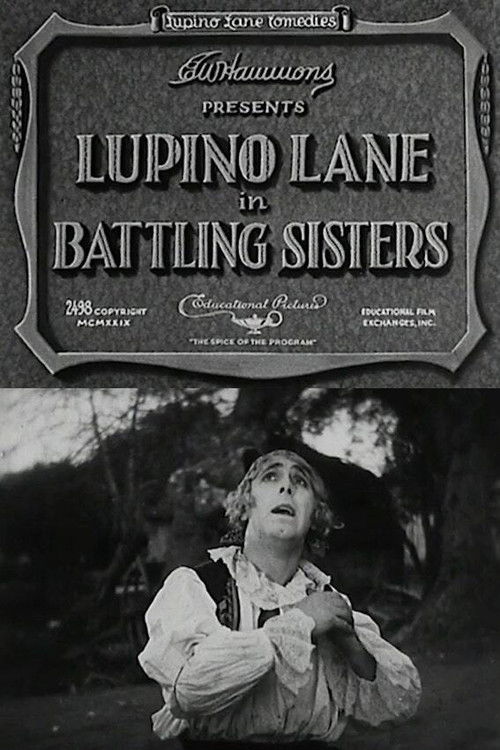 Battling Sisters (1929) poster