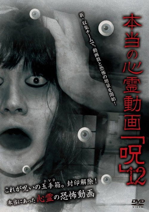 Hontō no Shinrei Dōga 'Noroi' 12 (2014) poster