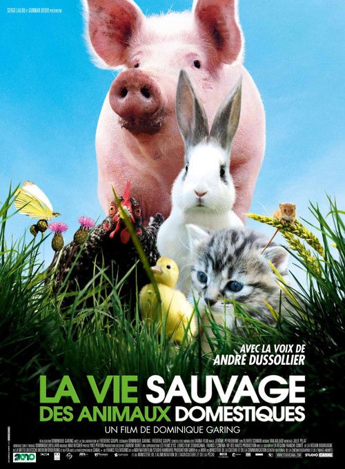 La vie sauvage des animaux domestiques (2010) poster