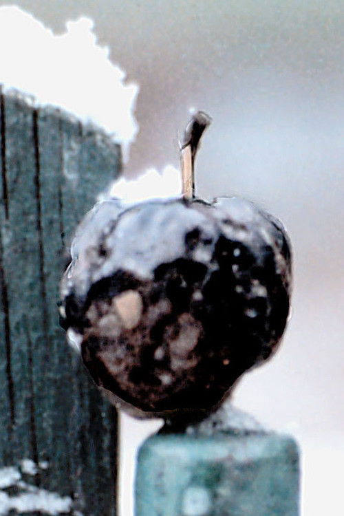 Light Years Expanding (1988) poster