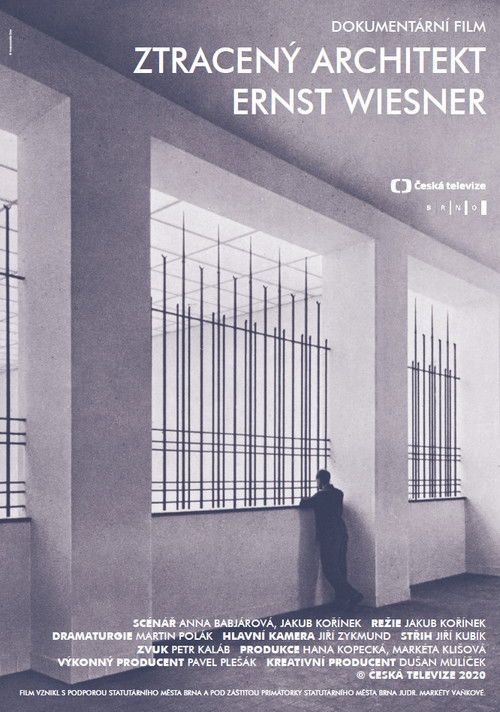 Ztracený architekt Ernst Wiesner (2020) poster