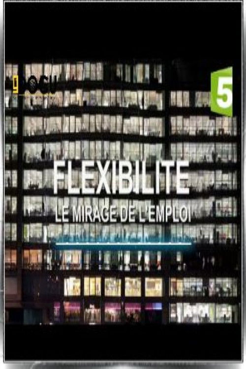 Flexibilité, le mirage de l'emploi (2017) poster