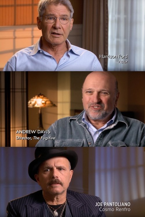 The Fugitive: Thrill of the Chase (2013) poster