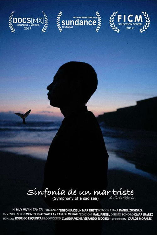 Symphony of a Sad Sea (2018) poster