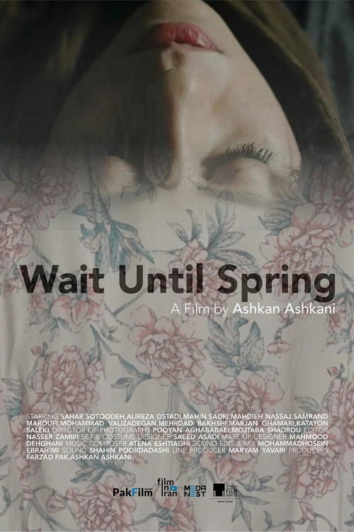 Wait Until Spring (2024) poster