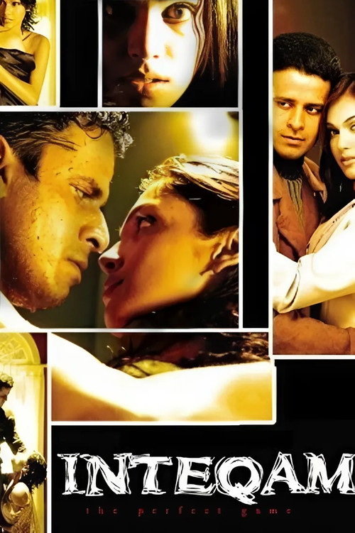 Inteqam: The Perfect Game (2004) poster