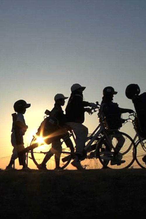 Little/boy (2010) poster