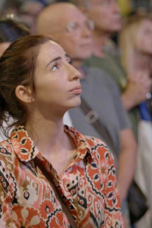 Brug over de breuklijn 2 (2024) poster