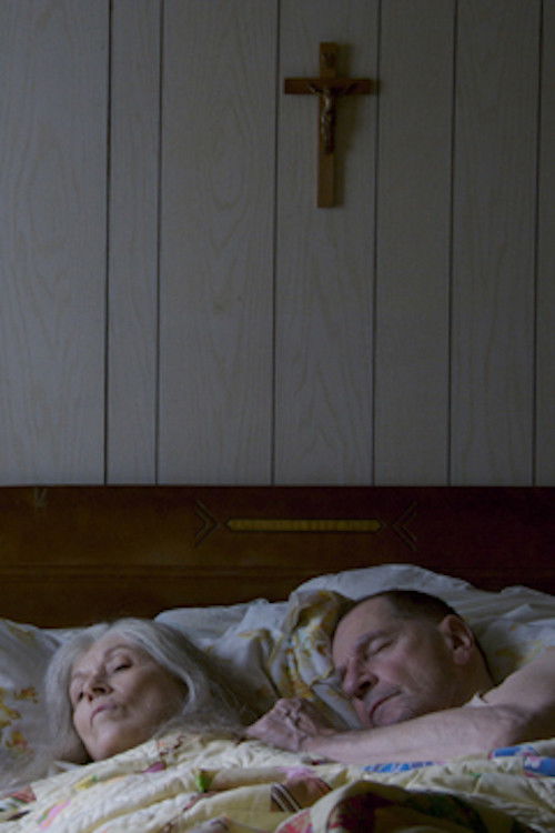 Les Affluents - Volume II: Les eaux mortes (2006) poster