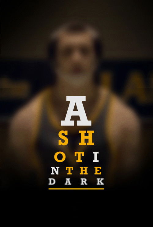 A Shot in the Dark (2017) poster