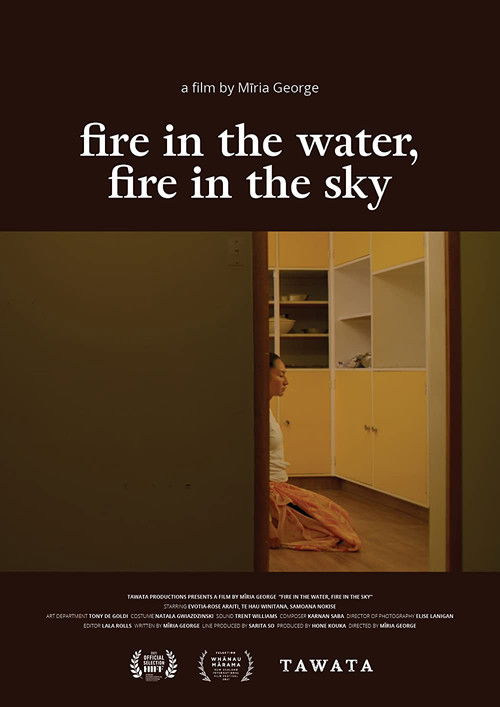 fire in the water, fire in the sky (2021) poster
