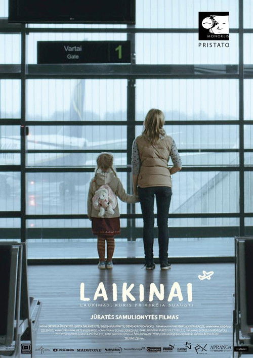 Laikinai (2011) poster