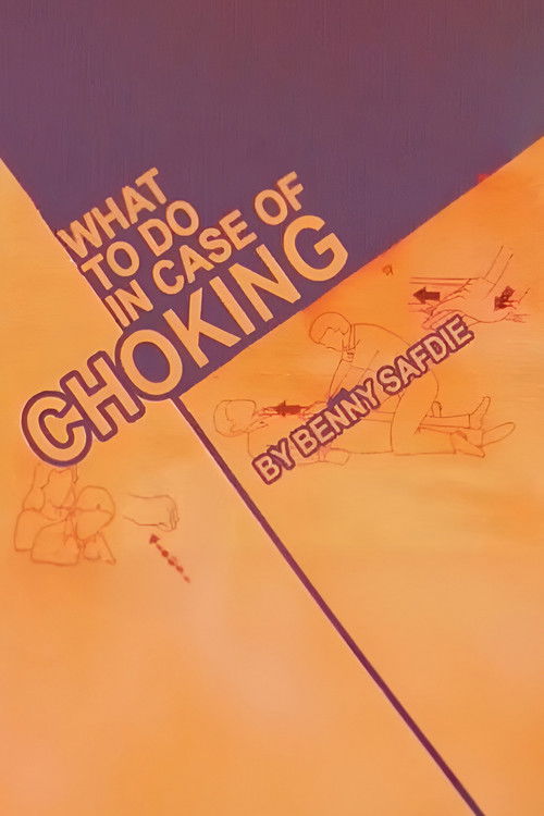 What To Do When Choking (2007) poster