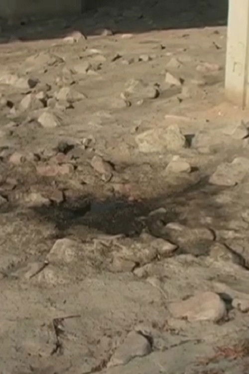 2005.1 Sandy River Water (2005) poster