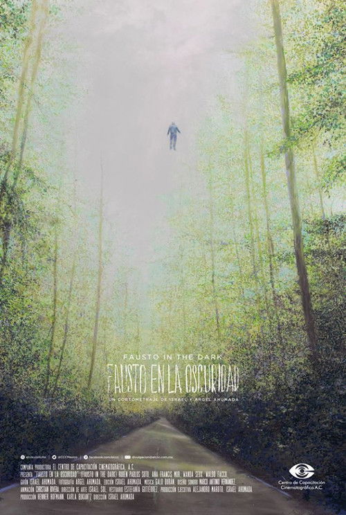 Fausto in the Dark (2017) poster