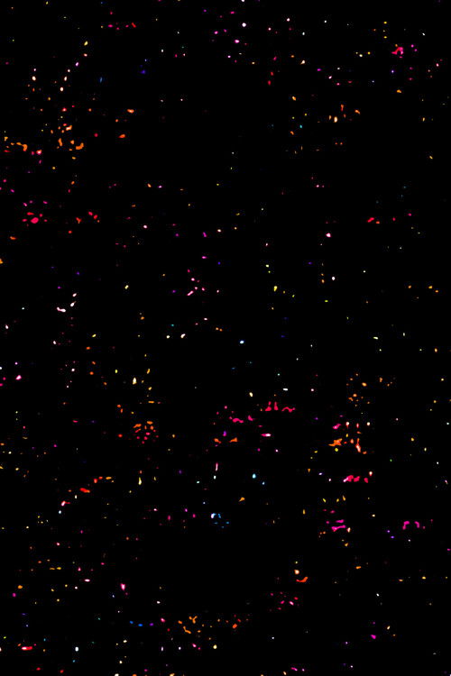 Abismos da Criação (2025) poster