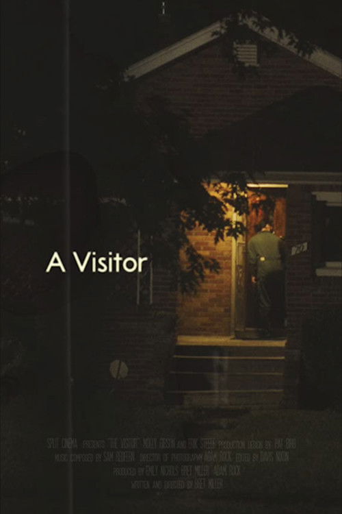 A Visitor (2020) poster