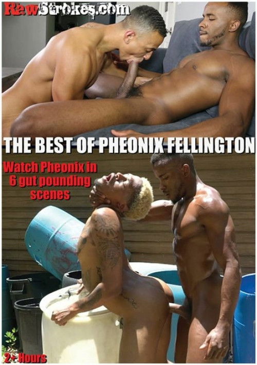 The Best of Pheonix Fellington (2020) poster