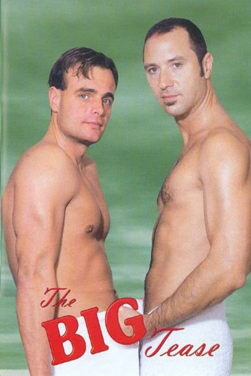 The Big Tease (2001) poster