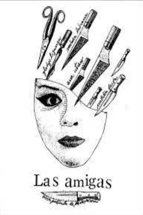 The Friends (2013) poster