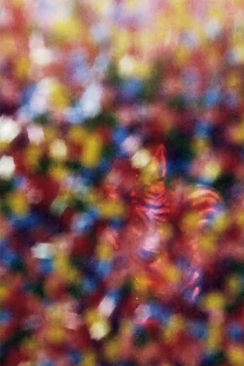 Music For Your Eyes (1971) poster