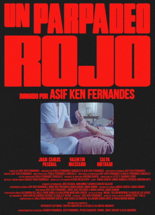 Red Light Spells Danger (2024) poster