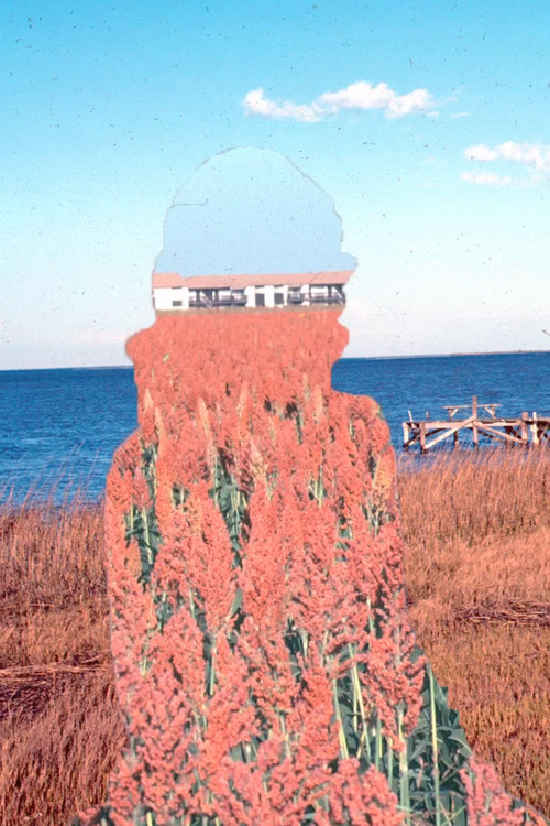 Underlying Persistent Volumes (2022) poster