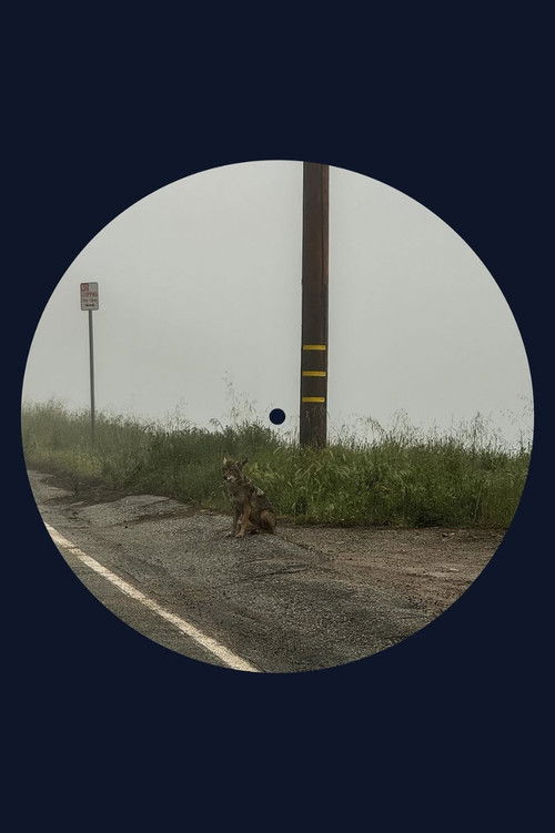 14 minutes (2024) poster