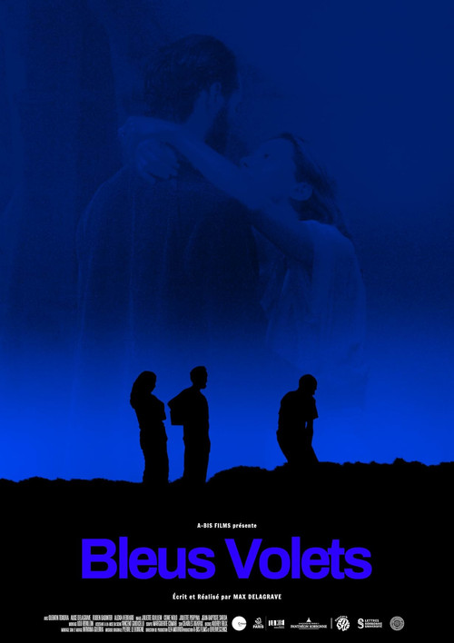 Bleus volets (2024) poster