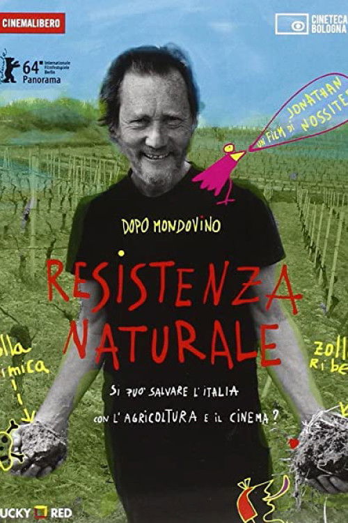 Desistenza a Milano (2014) poster