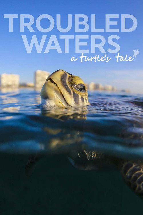 Troubled Waters: A Turtle's Tale (2019) poster