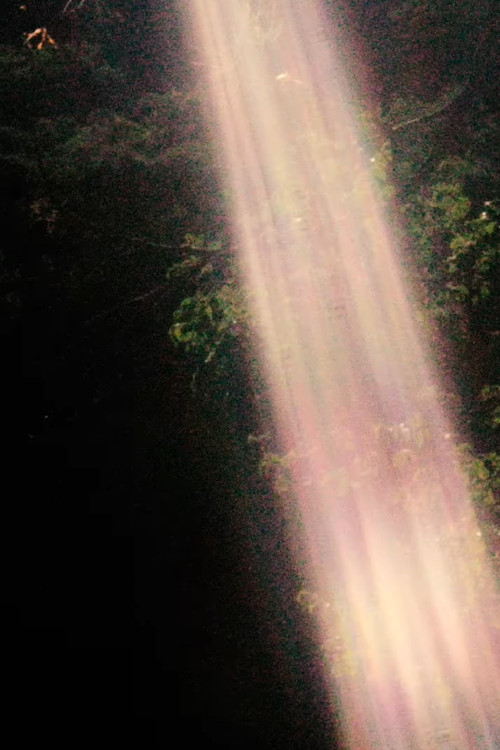 Los dias. Sálvame. Las noches. Hueco (2023) poster