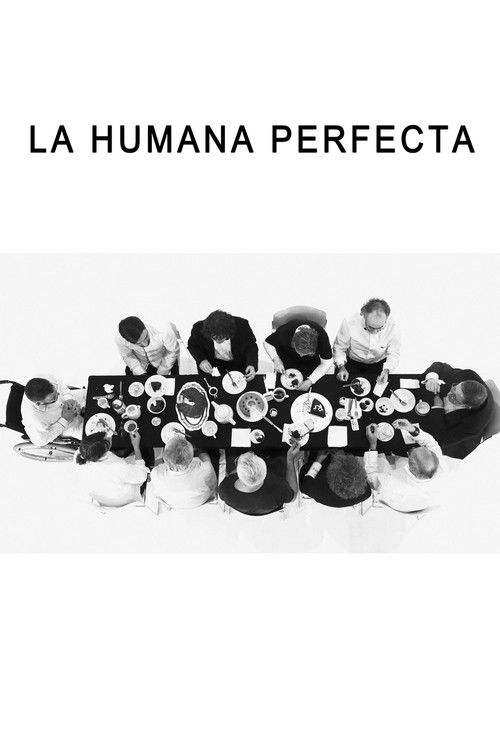 The Perfect Human (2018) poster