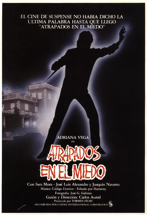Caught in Fear (1985) poster