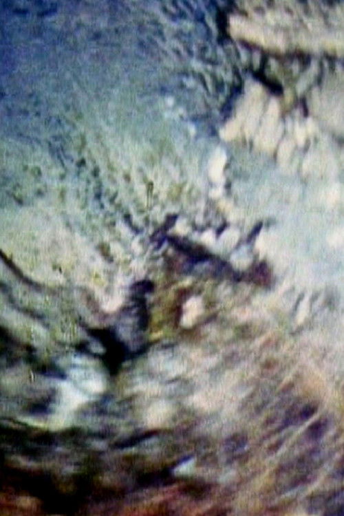 Filming (1979) poster