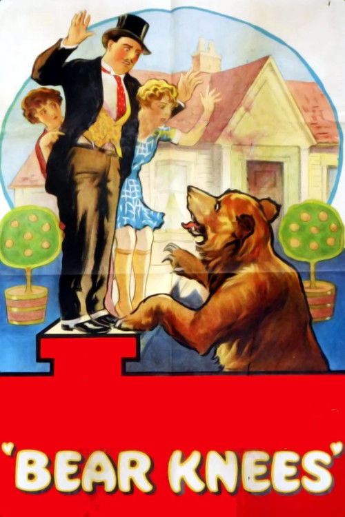 Bear Knees (1928) poster