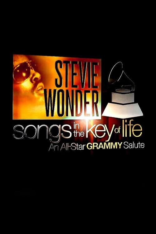 Stevie Wonder: Songs in the Key of Life - An All-Star Grammy Salute (2015) poster