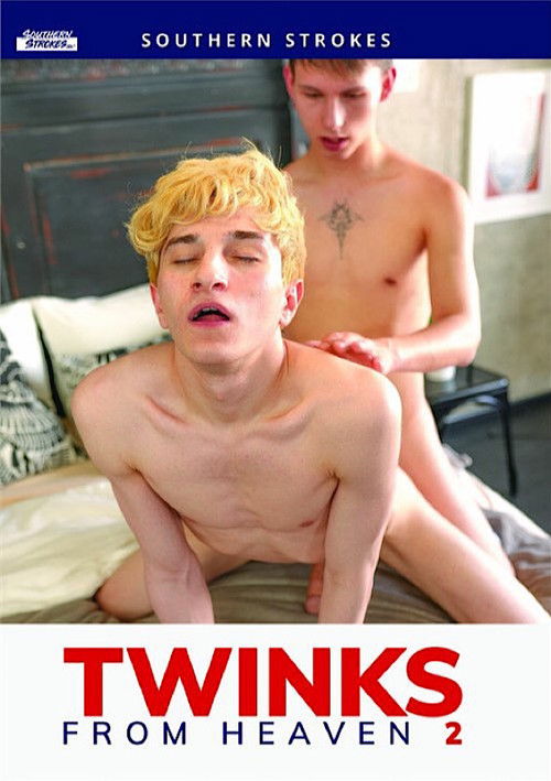 Twinks from Heaven 2 (2024) poster