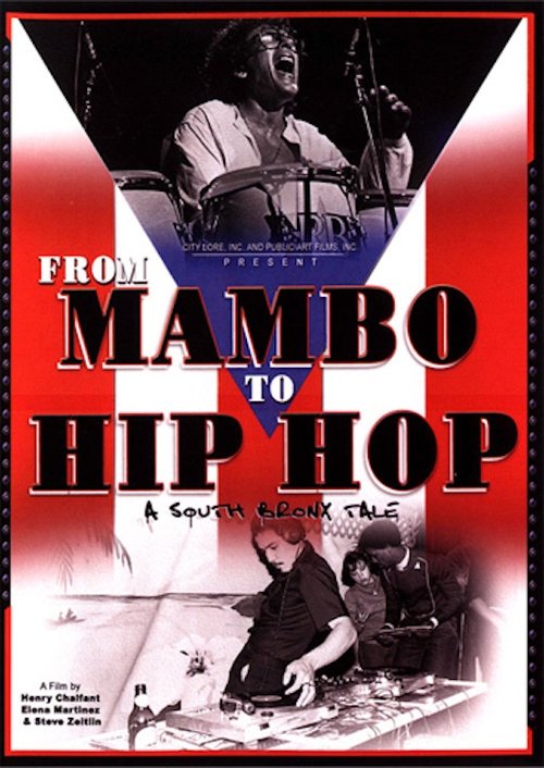 From Mambo to Hip Hop (2007) poster