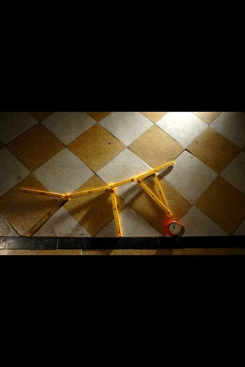 2 Metros (2007) poster